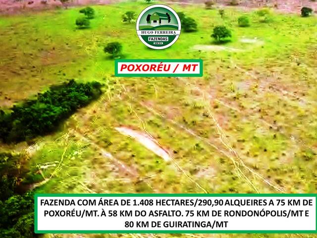 #3377 - Fazenda para Venda em Poxoréo - MT - 2