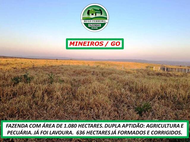 #3343 - Fazenda para Venda em Mineiros - GO