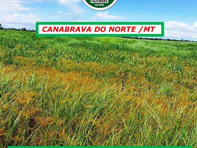 #3400 - Fazenda para Venda em Canabrava do Norte - MT - 2