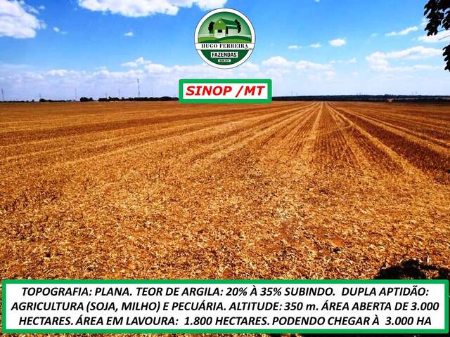 #3466 - Fazenda para Venda em Sinop - MT - 3