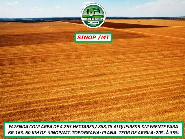  para  em  - 5
