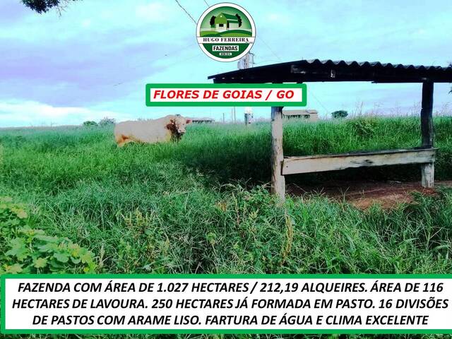 #3483 - Fazenda para Venda em Flores de Goiás - GO - 3