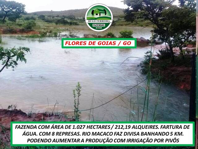 #3483 - Fazenda para Venda em Flores de Goiás - GO