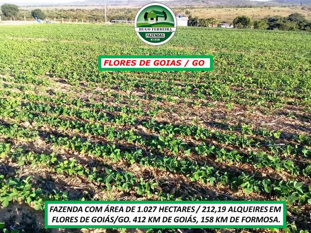 #3483 - Fazenda para Venda em Flores de Goiás - GO - 2