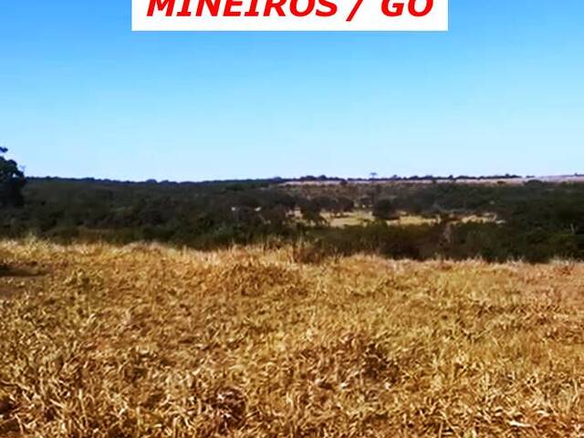 #3490 - Fazenda para Venda em Mineiros - GO - 2