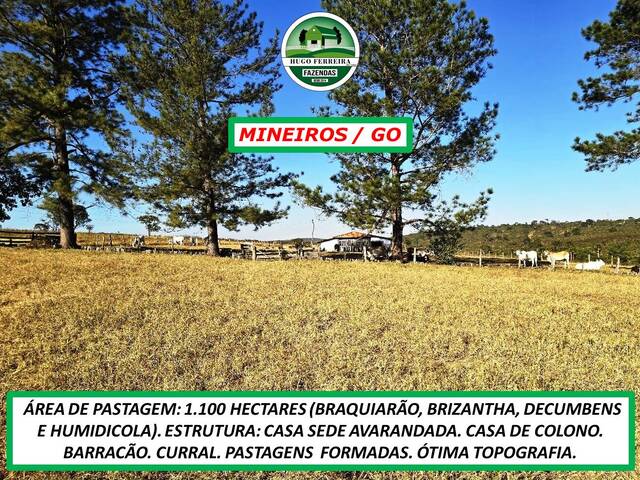 #3522 - Fazenda para Venda em Mineiros - GO