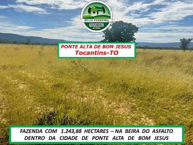 #3535 - Fazenda para Venda em Pindorama do Tocantins - TO - 2