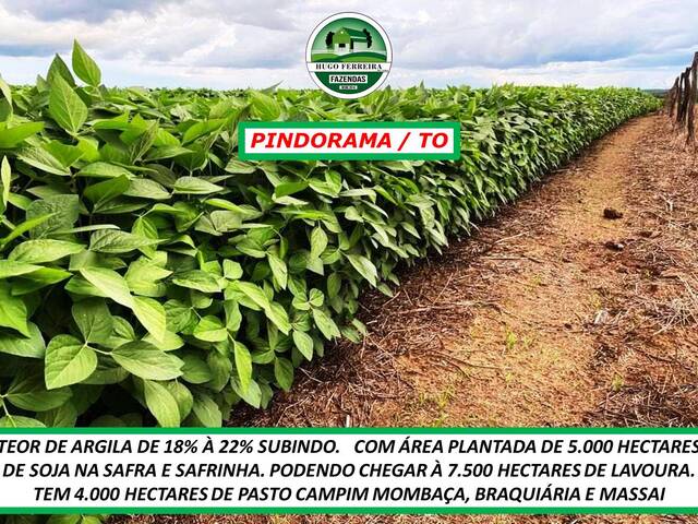 #3535 - Fazenda para Venda em Pindorama do Tocantins - TO - 1