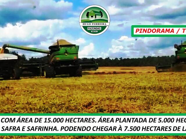 #3535 - Fazenda para Venda em Pindorama do Tocantins - TO - 3