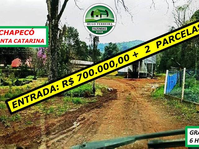 #3151 - Granja para Venda em Chapecó - SC - 1