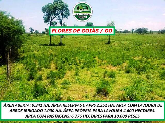 #3542 - Fazenda para Venda em Flores de Goiás - GO - 2