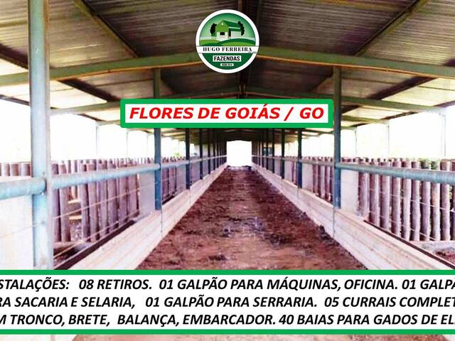 #3542 - Fazenda para Venda em Flores de Goiás - GO - 3