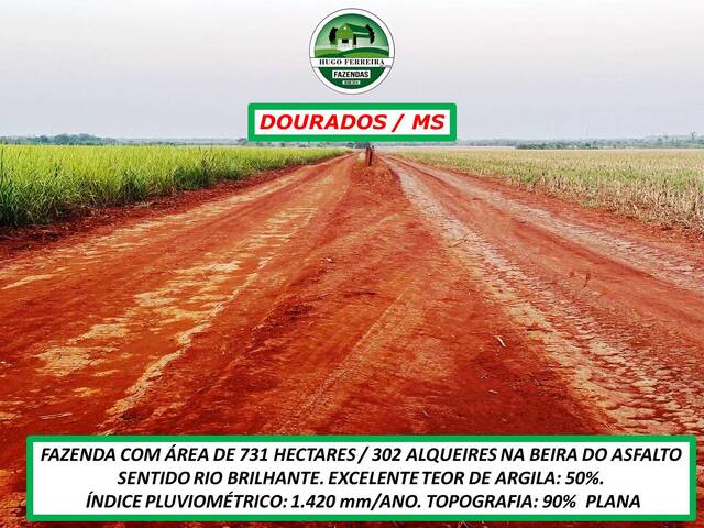 #3555 - Fazenda para Venda em Dourados - MS - 3