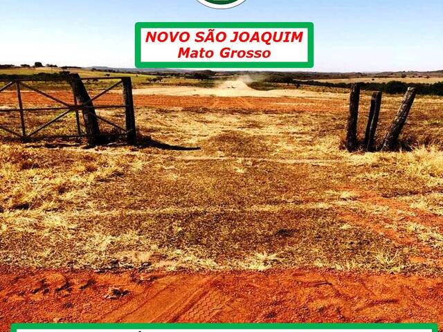 #3566 - Fazenda para Venda em Novo São Joaquim - MT - 2