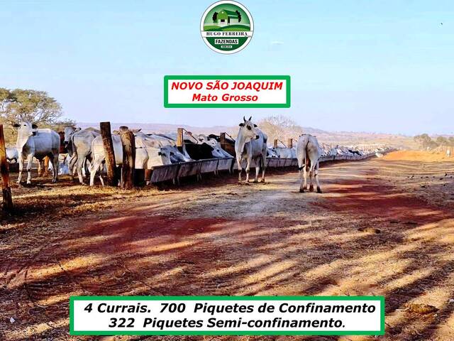 #3566 - Fazenda para Venda em Novo São Joaquim - MT - 3