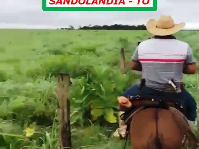 #3599 - Fazenda para Venda em Sandolândia - TO