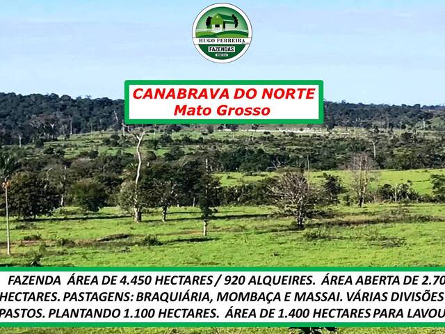 #3600 - Fazenda para Venda em Canabrava do Norte - MT - 3