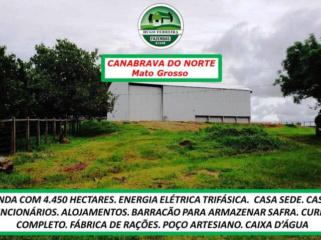  para  em  - 4