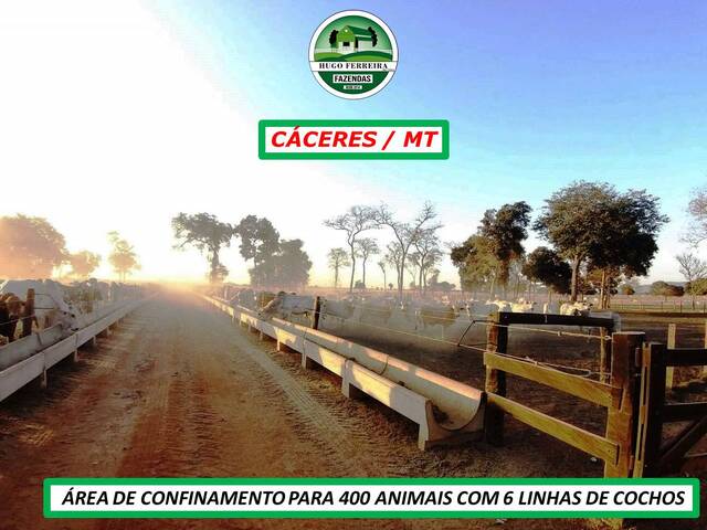 #3622 - Fazenda para Venda em Cáceres - MT - 2