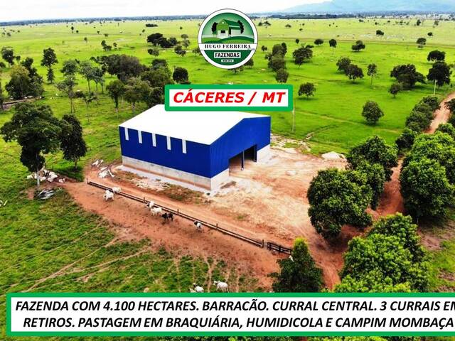  para  em  - 4