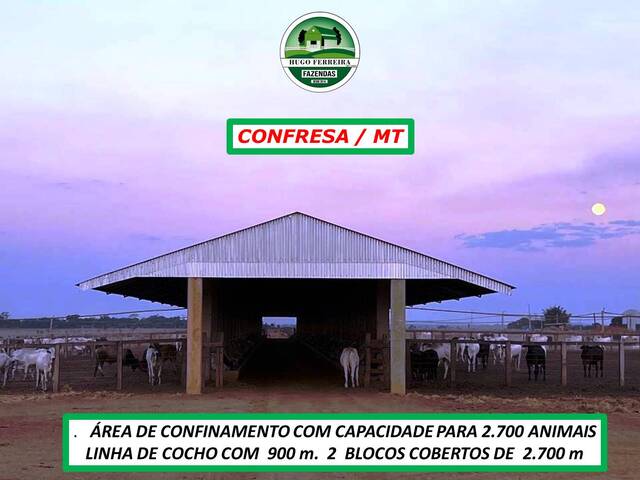 #3644 - Fazenda para Venda em Confresa - MT - 2