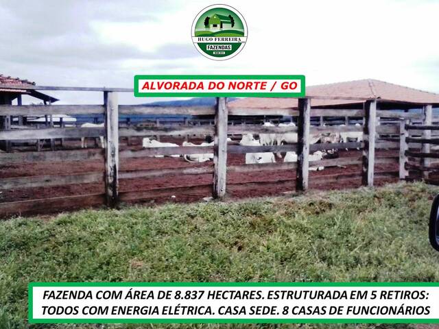 #3666 - Fazenda para Venda em Alvorada do Norte - GO - 1