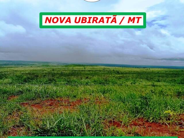 #3699 - Fazenda para Venda em Nova Ubiratã - MT - 2