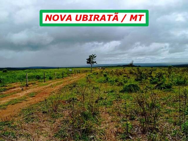 #3699 - Fazenda para Venda em Nova Ubiratã - MT - 3