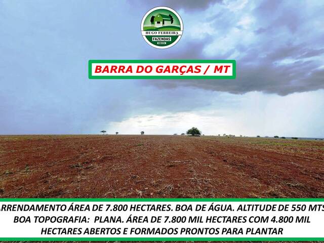 #3711 - Fazenda para Arrendamento em Barra do Garças - MT - 2
