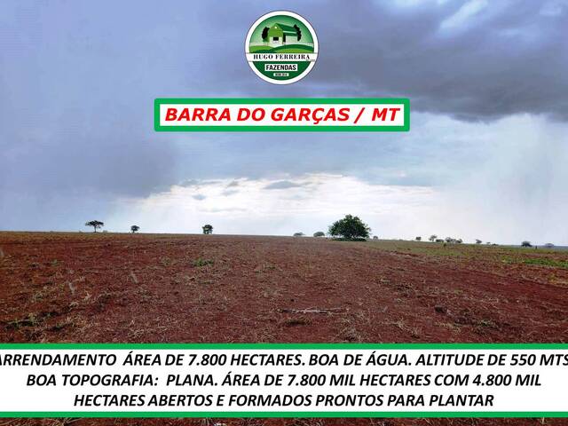 #3711 - Fazenda para Arrendamento em Barra do Garças - MT - 3