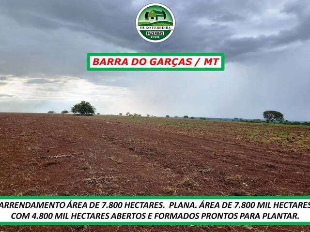  para  em  - 4