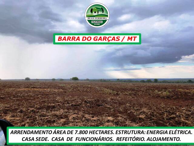  para  em  - 5