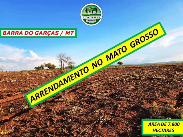 #3711 - Fazenda para Arrendamento em Barra do Garças - MT - 1