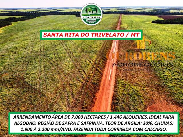 #3788 - Fazenda para Arrendamento em Santa Rita do Trivelato - MT - 2