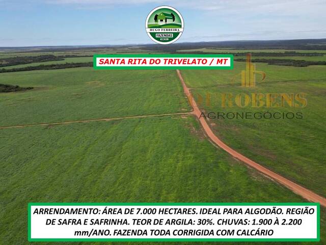 #3788 - Fazenda para Arrendamento em Santa Rita do Trivelato - MT - 3