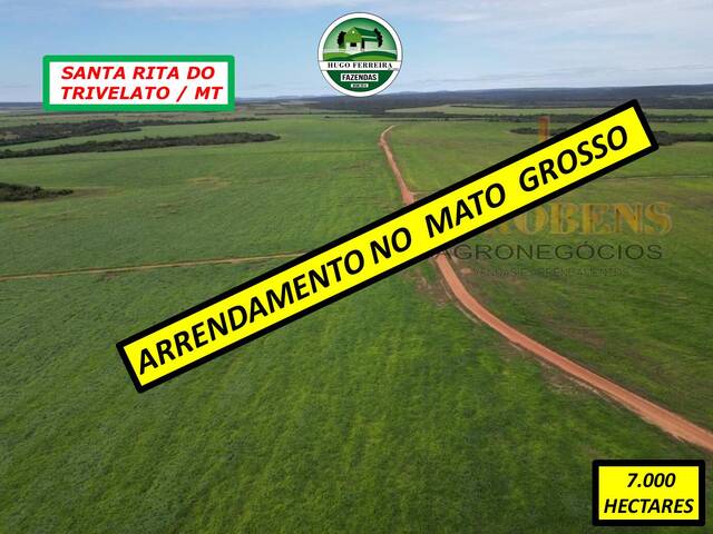 #3788 - Fazenda para Arrendamento em Santa Rita do Trivelato - MT - 1