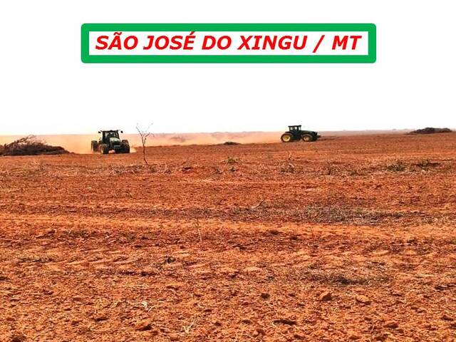  para  em  - 5