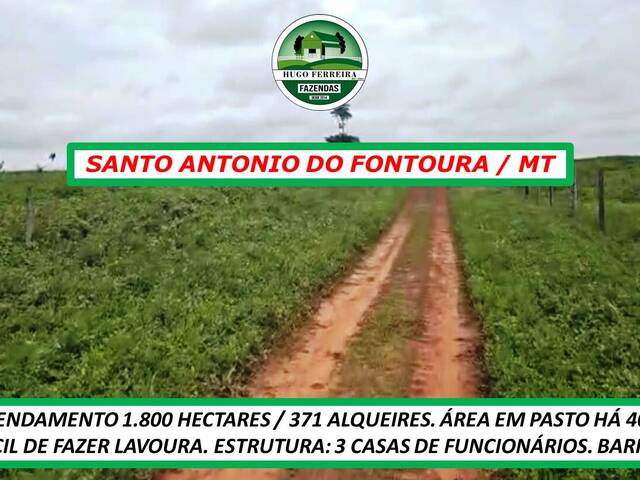 #3822 - Fazenda para Arrendamento em São José do Xingu - MT - 2