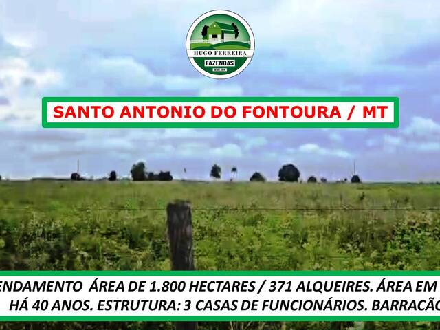 #3822 - Fazenda para Arrendamento em São José do Xingu - MT - 3