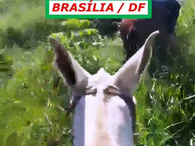  para  em  - 4