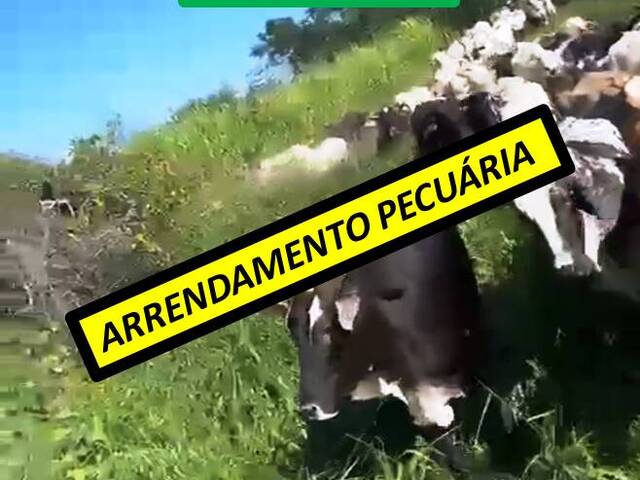 #3833 - Fazenda para Arrendamento em Brasília - DF