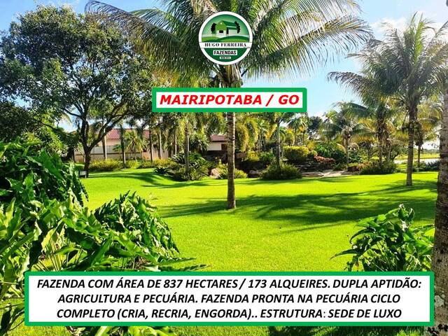 #3899 - Fazenda para Venda em Mairipotaba - GO