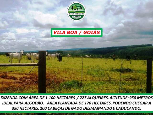#3911 - Fazenda para Venda em Vila Boa - GO