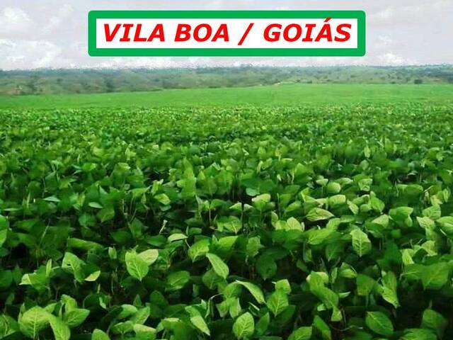 #3911 - Fazenda para Venda em Vila Boa - GO