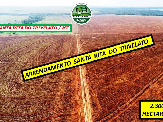 #3909 - Fazenda para Arrendamento em Santa Rita do Trivelato - MT - 2