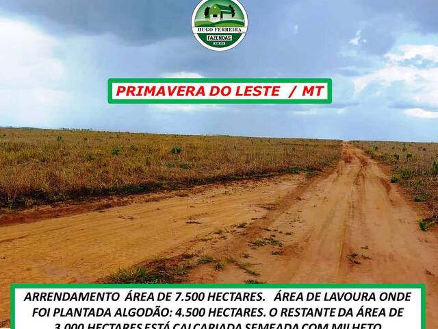 #4010 - Fazenda para Arrendamento em Primavera do Leste - MT - 2