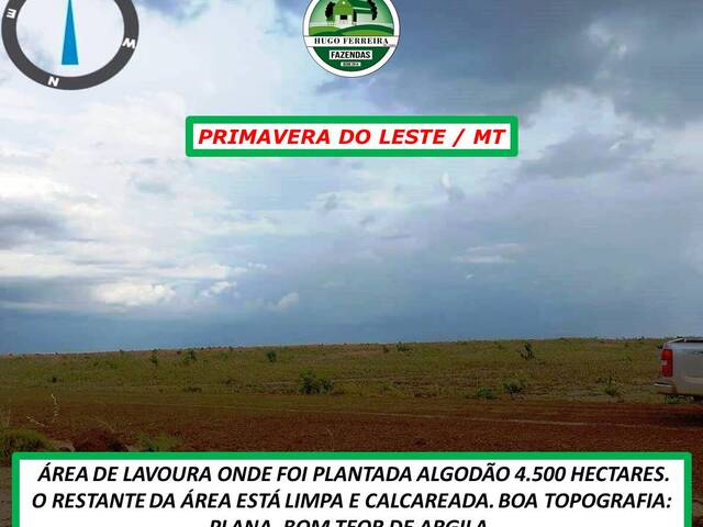  para  em  - 4