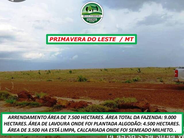  para  em  - 5