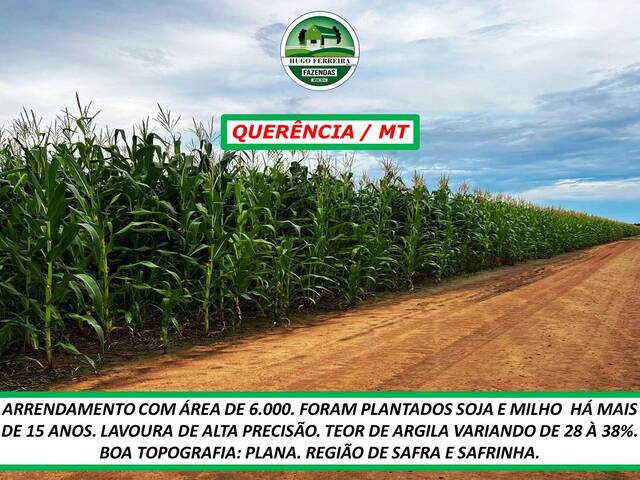 #4034 - Fazenda para Arrendamento em Querência - MT - 2