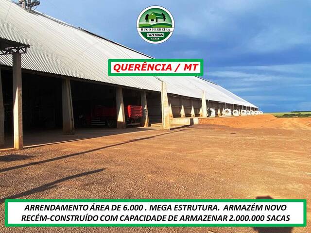 #4034 - Fazenda para Arrendamento em Querência - MT - 3